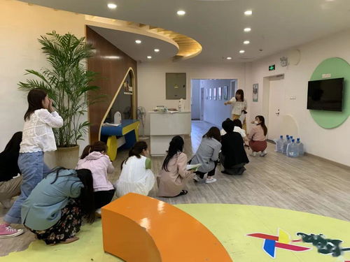 陽(yáng)光伙伴藝術(shù)團(tuán)順利通過(guò)校外培訓(xùn)機(jī)構(gòu)復(fù)訓(xùn)核驗(yàn)，開(kāi)啟藝術(shù)培訓(xùn)新篇章