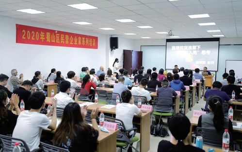 蜀山破局新生 七項(xiàng)經(jīng)濟(jì)指標(biāo)領(lǐng)跑合肥城區(qū)，藝術(shù)培訓(xùn)產(chǎn)業(yè)成新增長(zhǎng)極